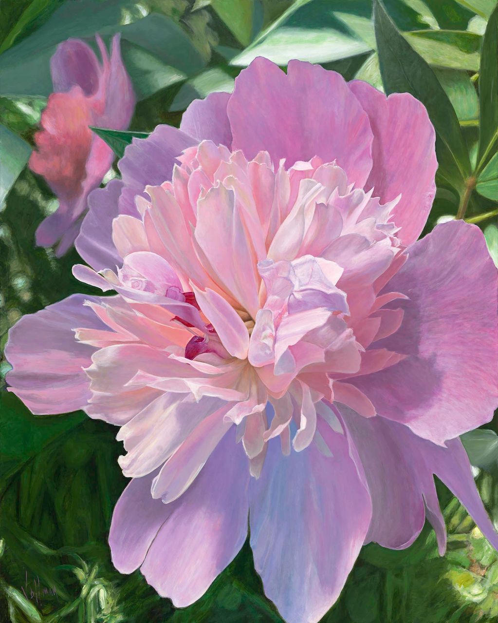 Pink Peony 60" x 48" Acrylic on Canvas