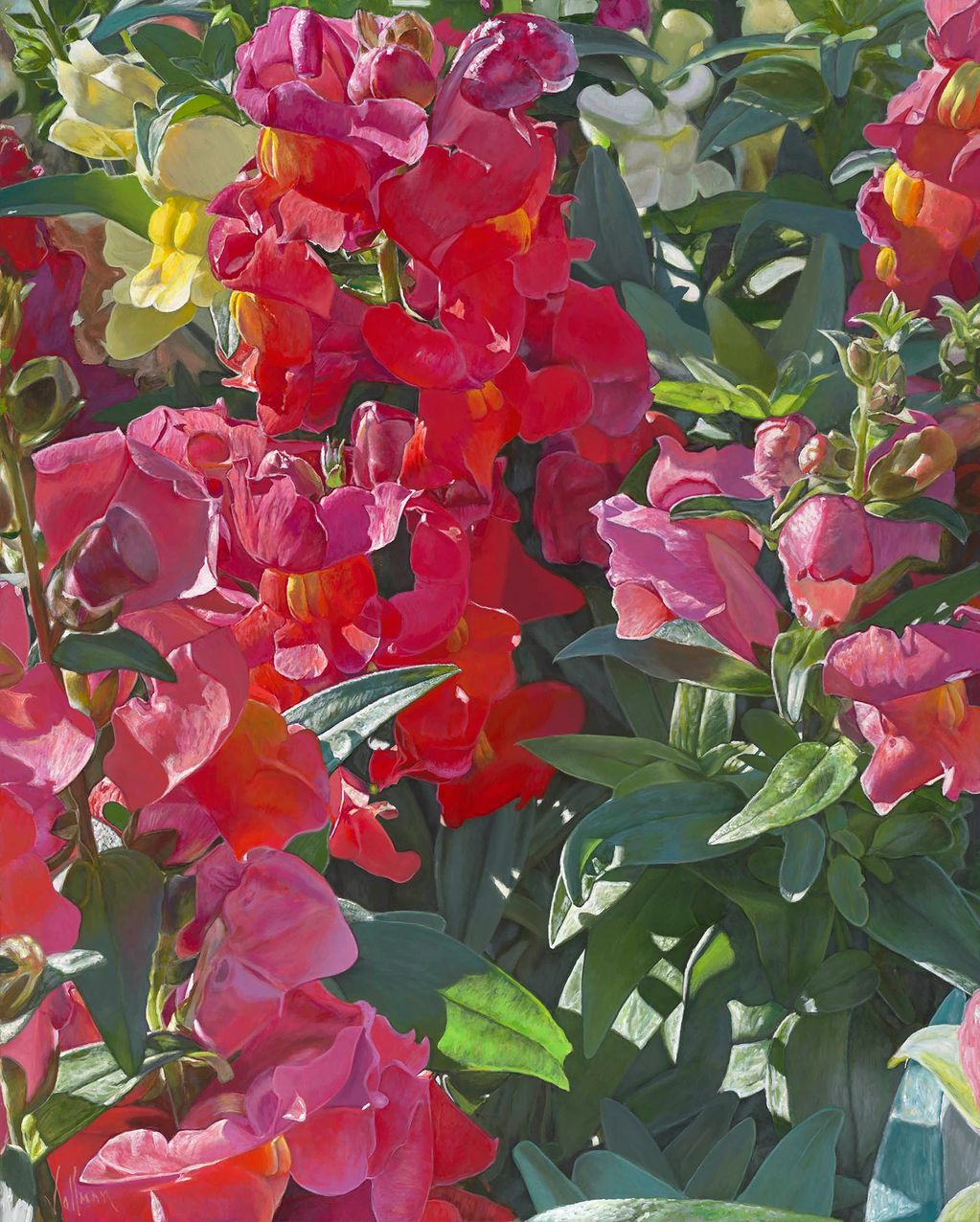 Snapdragons 60" x 48" Acrylic on Canvas