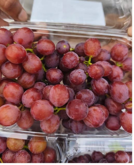grapes-3958245.JPG