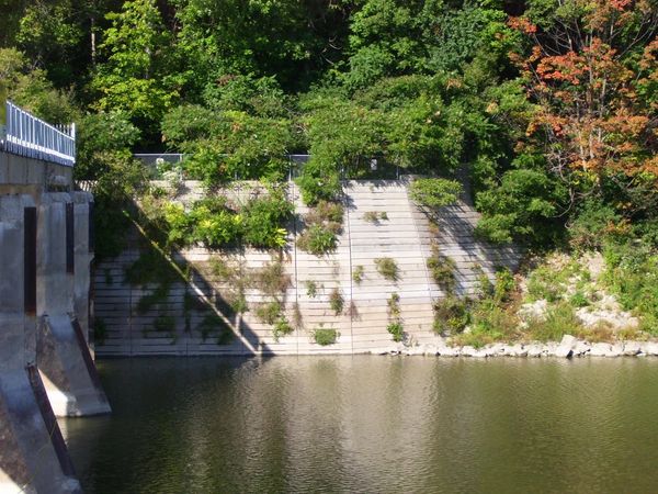 London Ontario Springbank Dam Embankment Crib