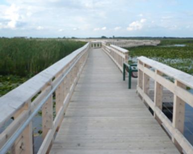 Point Pelee National Park Floating Boardwalk