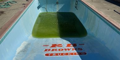 Empty pool with green algae and a company logo at the bottom.