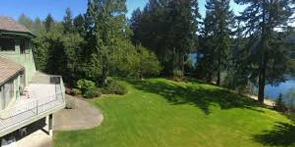 A spacious lawn beside a house with tall trees and a lake in the background.