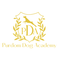 Purdom Dog Academy