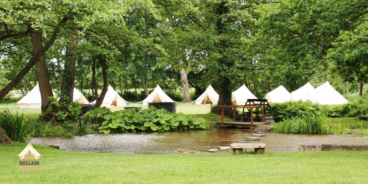 Wedding tents in a forest area