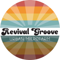 Revival Groove