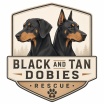 Black & Tan Dobies 