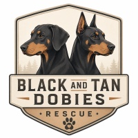 Black & Tan Dobies 