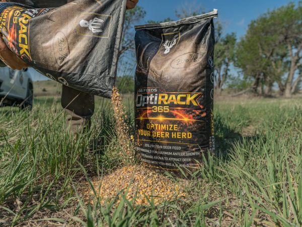 Deer feed being poured onto grass from a branded OptiRack 365 bag.