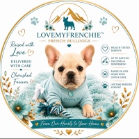 Luv My Frenchie