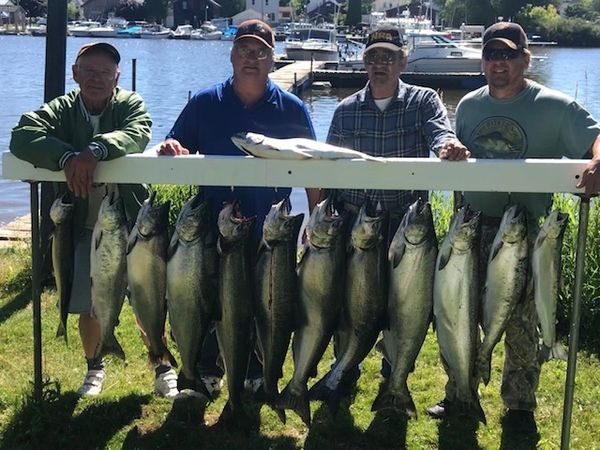 30 pound King Salmon