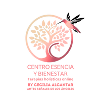 Centro Esencia y Bienestar