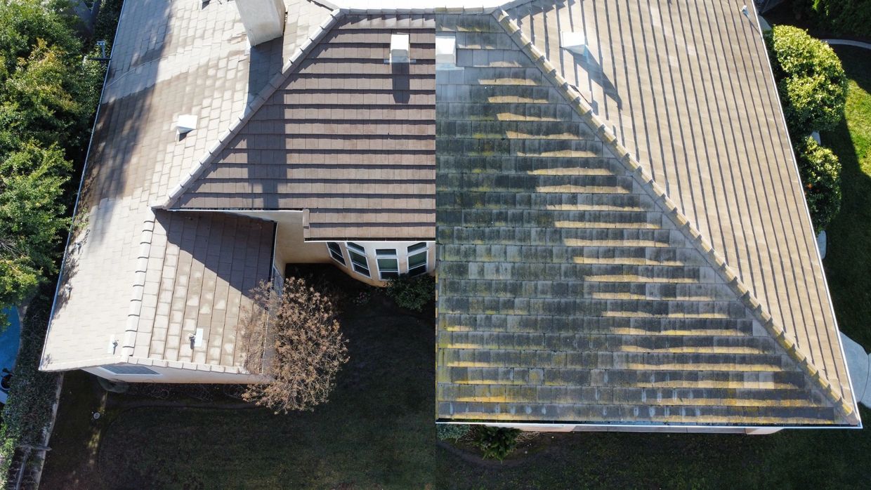 Before and after moss removal