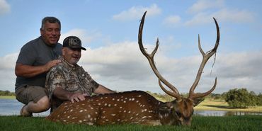 axis deer, hunting, hunter, mullins Texas