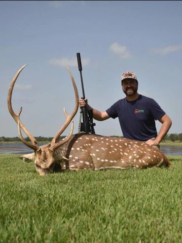 rifle, axis deer, hunting, hunter
