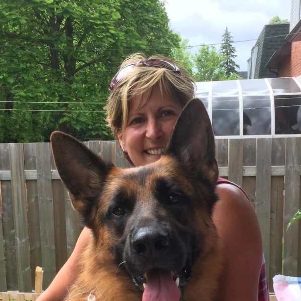 dog training