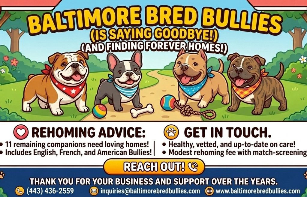 WE ARE OFFICIALLY CLOSING 