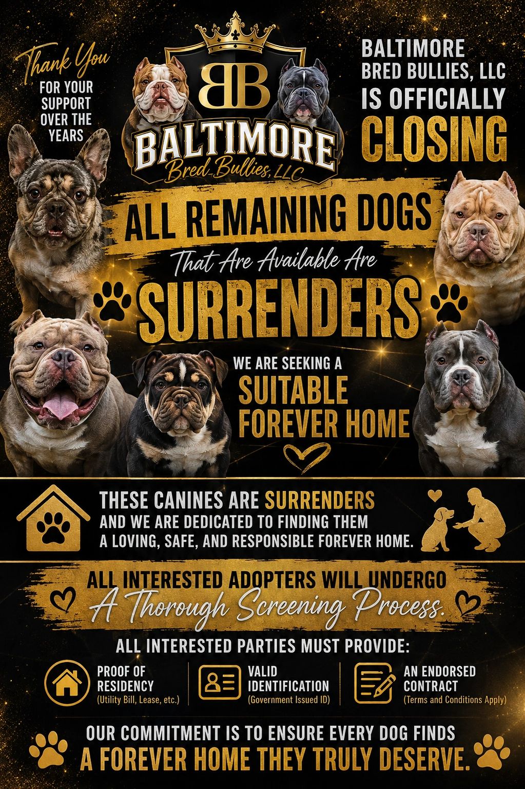 ALL CANINES ARE OWNER SURRENDERS