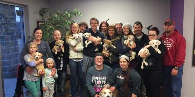 Group of people holding puppies indoors.