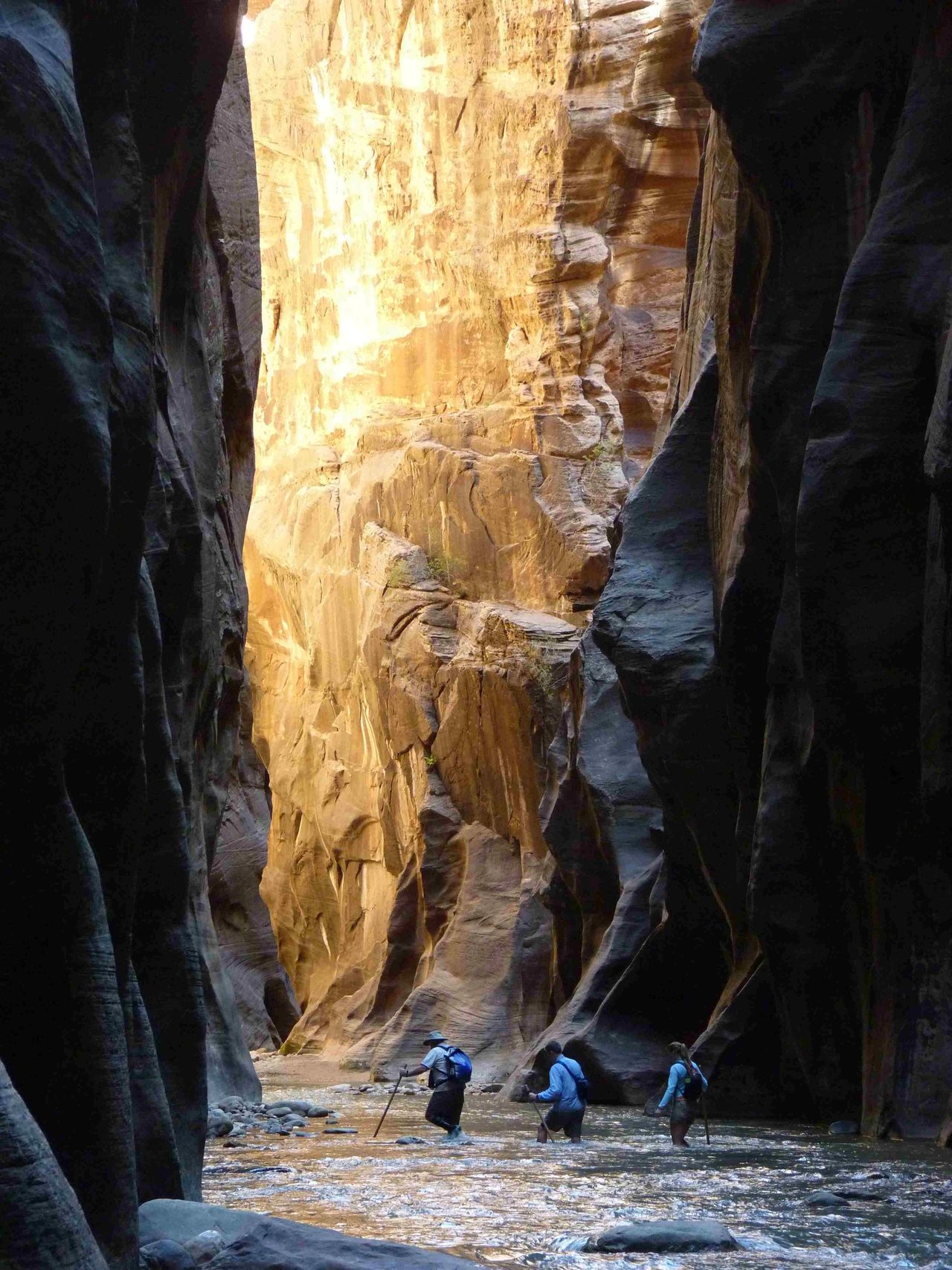 Hikers in the Bottom of the Narrows in Zion National Park // Image Credit to NPS Photo