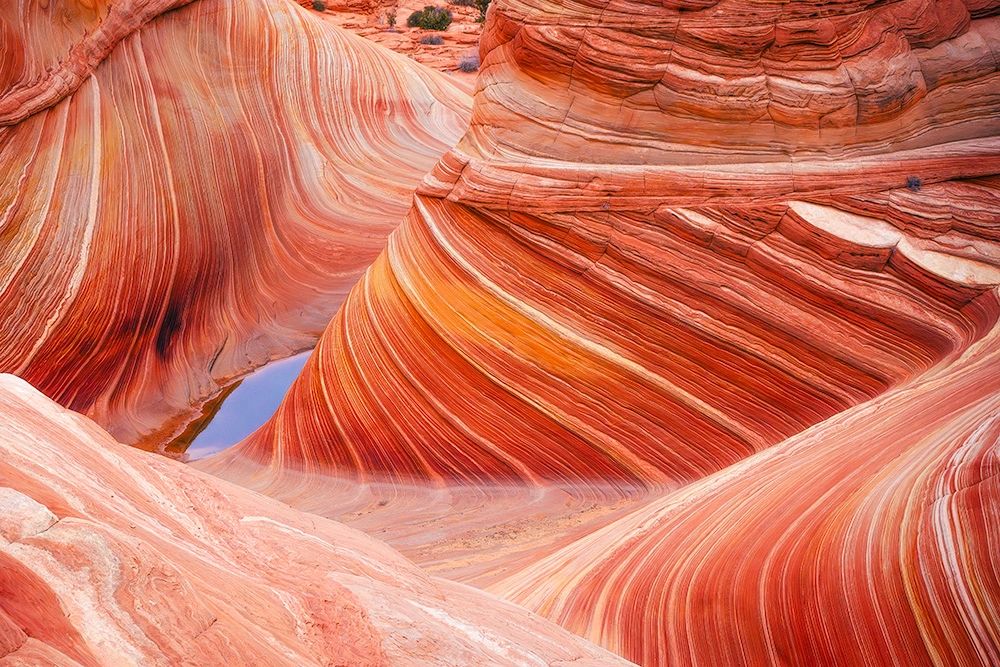Colors of the Wave in Coyote Buttes North