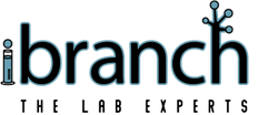 iBranch Consutling Group