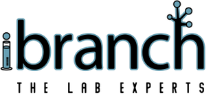 iBranch Consutling Group
