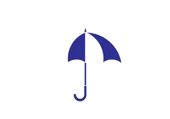    Julia Barinova INC