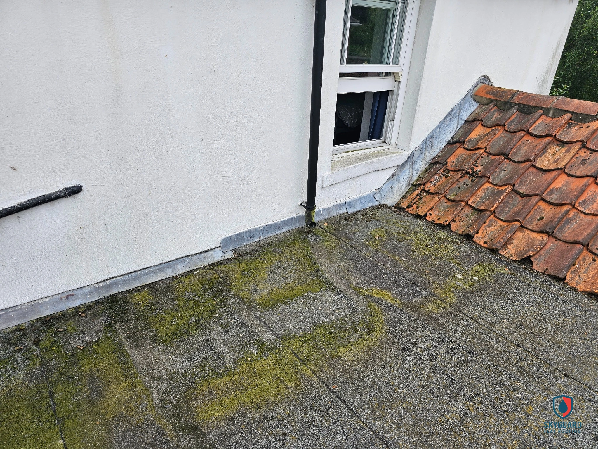 10 Common Flat Roof Problems and How to Fix Them
