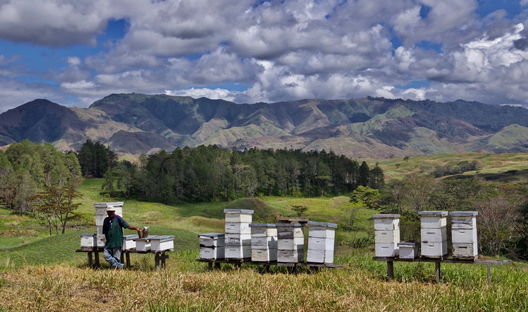 John Sese at his hives. 