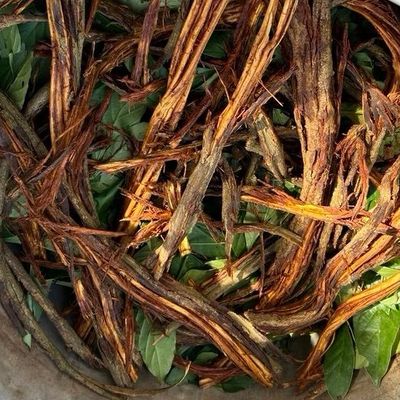 Ayahuasca Soul Quest