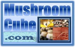 MushroomCube.com - Mushroom Growing Kits, Mushroom Kit Diy