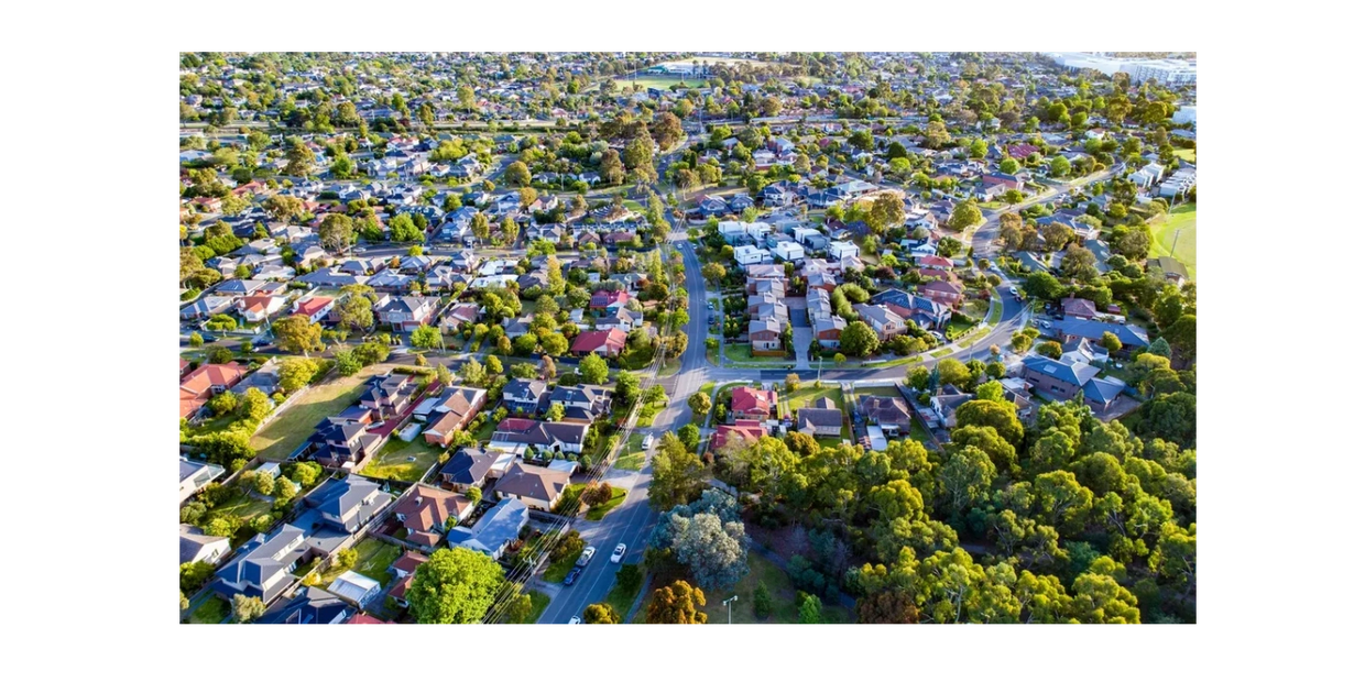 Showing an aerial image of a typical tree survey area that may be assessed by a consulting arborist