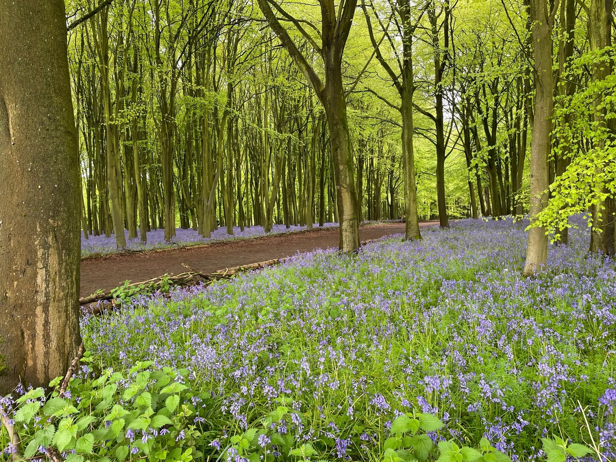 Spring Unfiltered: A Guide to the Real Cotswolds