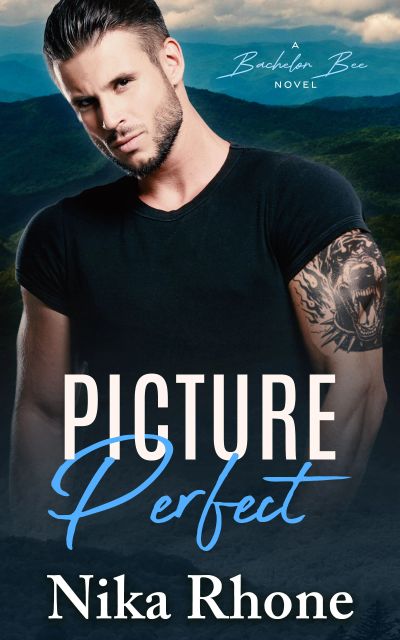 Book cover of "Picture Perfect" by Nika Rhone.