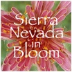 Sierra wildflower cards