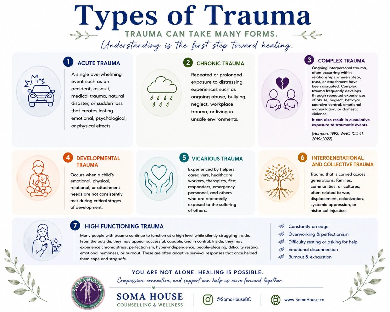 Infographic explaining seven types of trauma and their effects for awareness and healing.