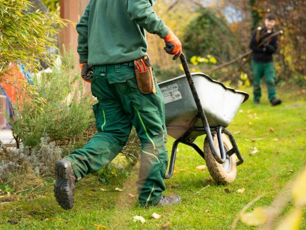 Two gardeners working outdoors, one pushing a wheelbarrow.