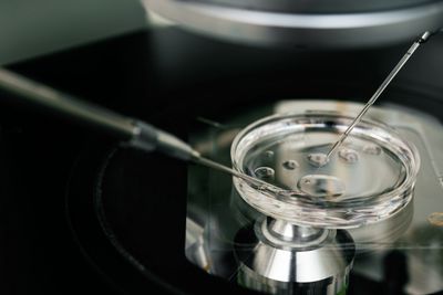 Close-up of a petri dish with lab tools on a microscope stage.