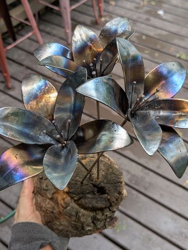 TIG lilies