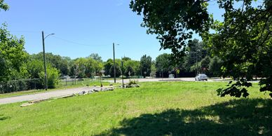 A sunny park with a grassy area, trees, and a road with a few cars.