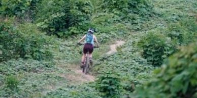 Cyclist riding a bike on a narrow trail through dense green foliage.