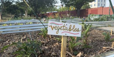 A garden bed labeled "vegetables" with young plants growing.