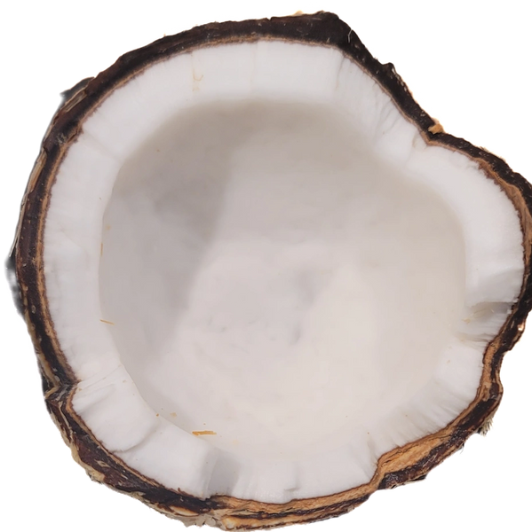 Acai Catering Kansas City 
Acai Bowl KC
Acai Bar Kansas City 