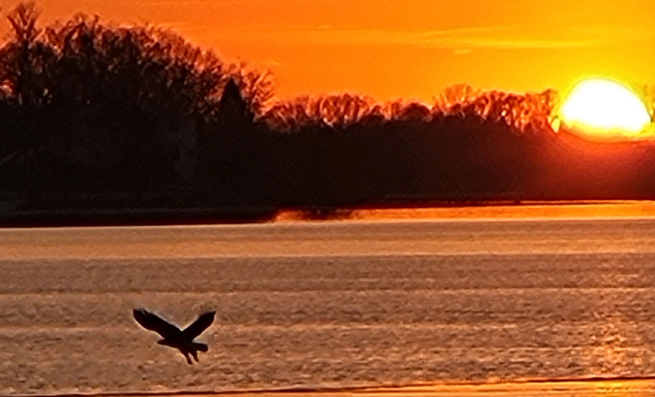 Spring Lake Association