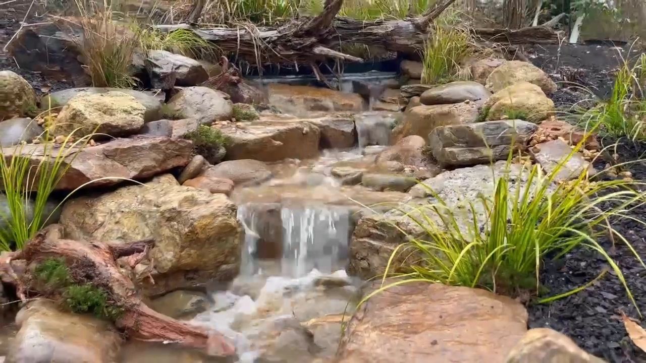 https://img1.wsimg.com/isteam/ip/d8a8d095-9d45-4b9f-a6f5-f8a1748bb5c0/thumbnails/thumbnail-9ce63b4d-4a66-4258-9d12-a484e1006f52.png