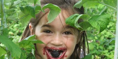 Black Raspberries