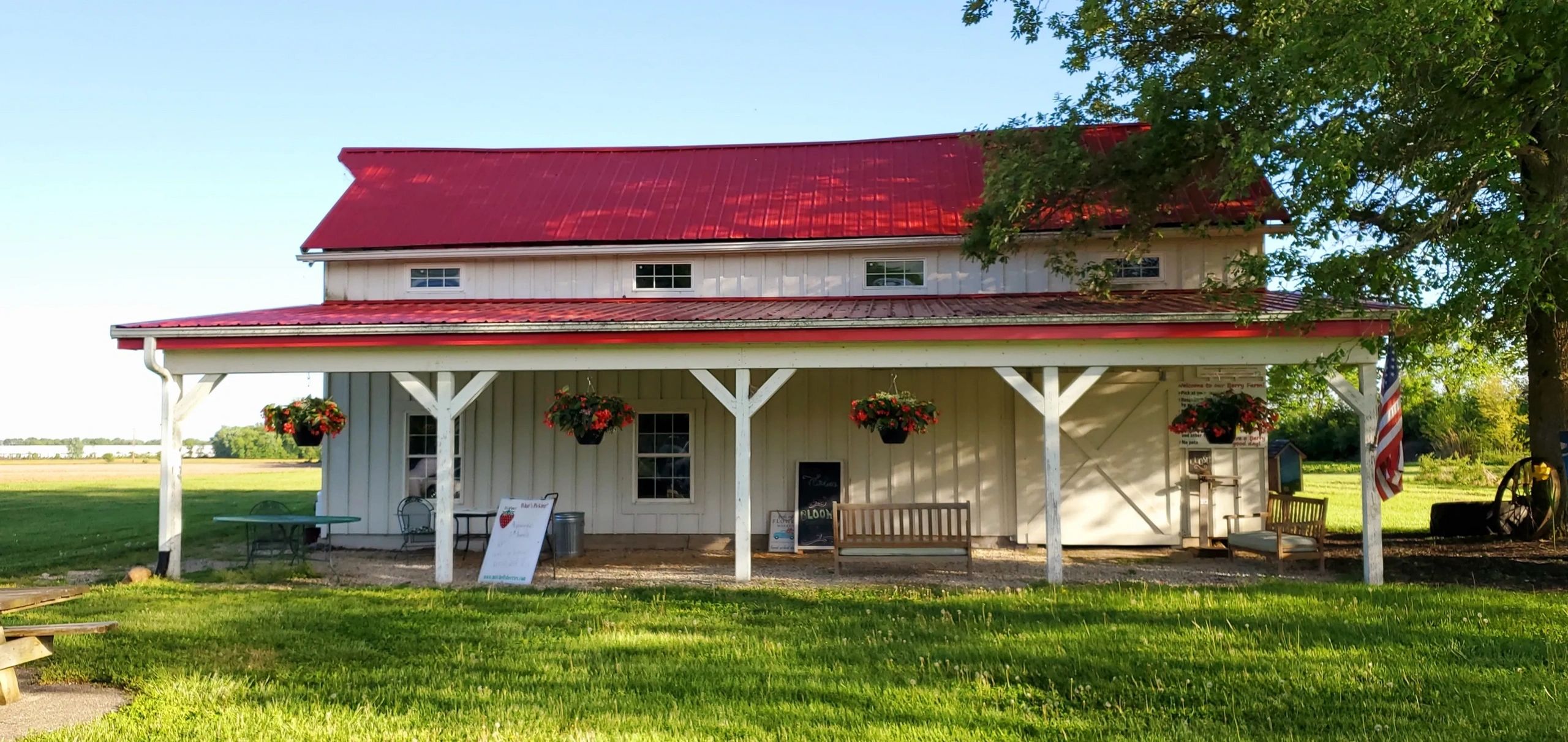 Mitchell's Berries, LLC also known as Mitchells Farm photo 4