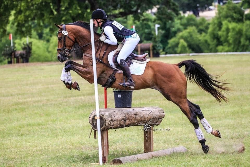 High Altitude Saddlery - Photo 1