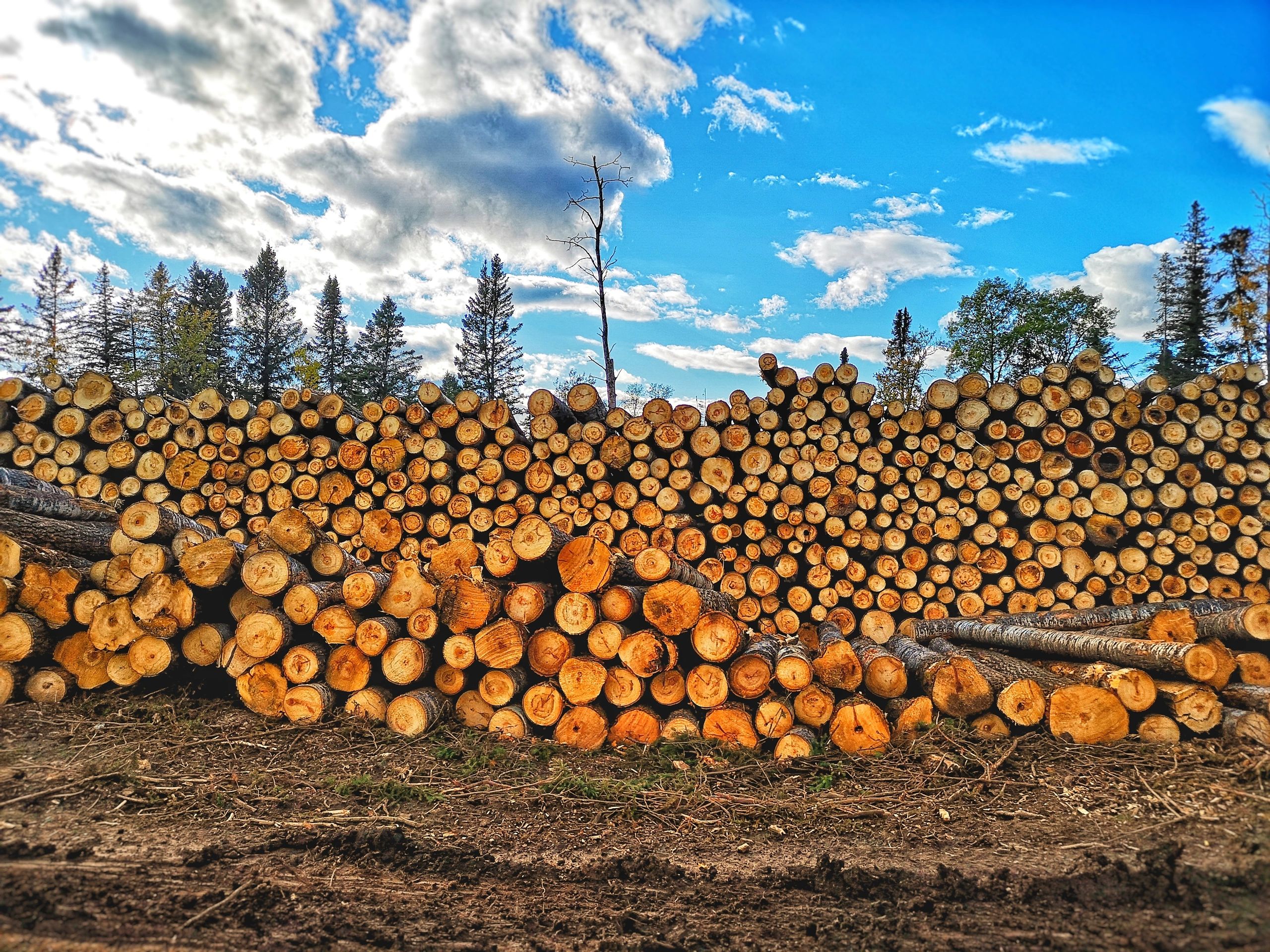 Lumber, Mulch, Firewood Riehl's Lumber and Logging Inc. Riehl's